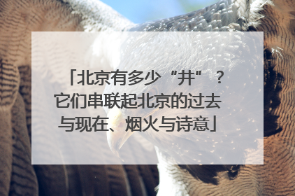 北京有多少“井”？它们串联起北京的过去与现在、烟火与诗意