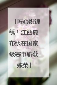 匠心织锦绣！江西夏布绣在国家级赛事斩获殊荣