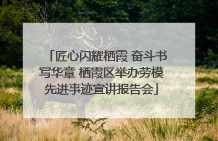 匠心闪耀栖霞 奋斗书写华章 栖霞区举办劳模先进事迹宣讲报告会