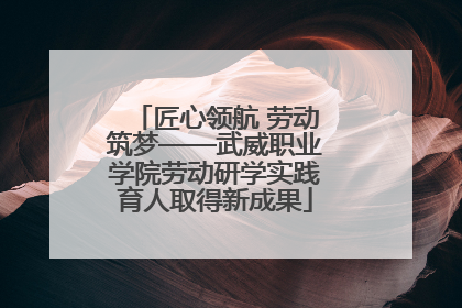 匠心领航 劳动筑梦——武威职业学院劳动研学实践育人取得新成果