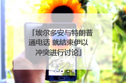 埃尔多安与特朗普通电话 就结束伊以冲突进行讨论