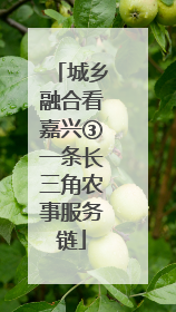 城乡融合看嘉兴③一条长三角农事服务链