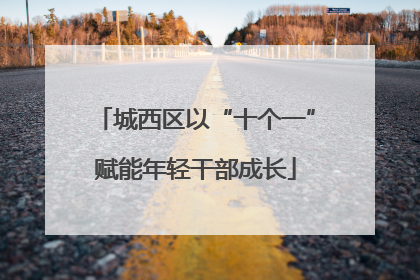 城西区以“十个一”赋能年轻干部成长