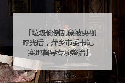 垃圾偷倒乱象被央视曝光后，萍乡市委书记实地督导专项整治