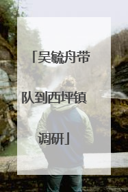 吴毓舟带队到西坪镇调研