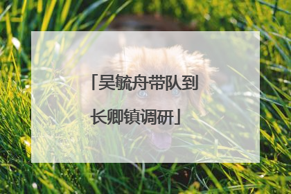 吴毓舟带队到长卿镇调研