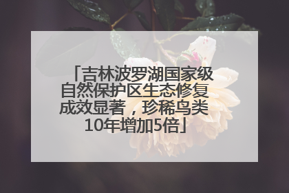 吉林波罗湖国家级自然保护区生态修复成效显著，珍稀鸟类10年增加5倍