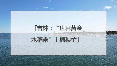 吉林：“世界黄金水稻带”上插秧忙