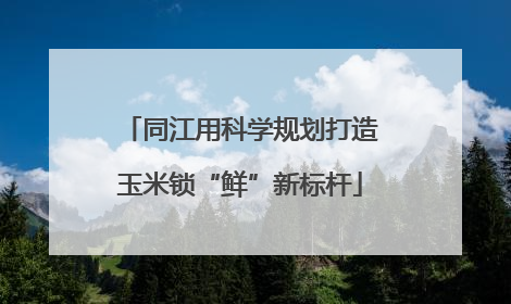 同江用科学规划打造玉米锁“鲜”新标杆