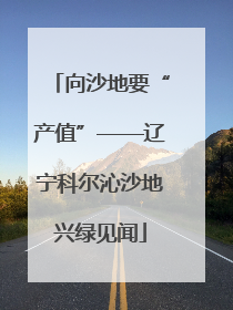 向沙地要“产值”——辽宁科尔沁沙地兴绿见闻