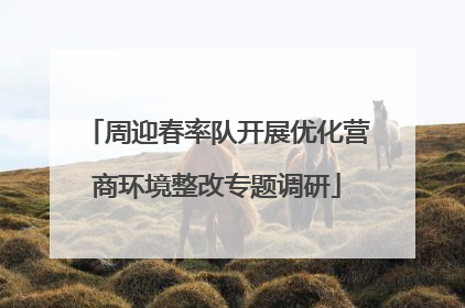 周迎春率队开展优化营商环境整改专题调研