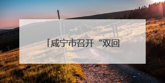 咸宁市召开“双回双创”工作推进会