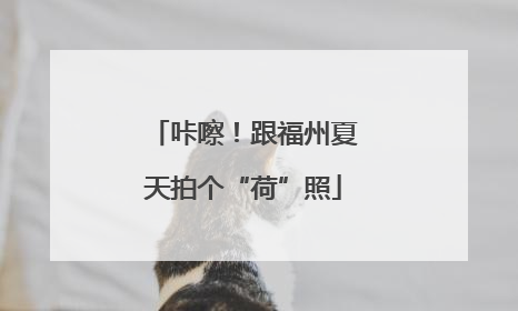 咔嚓！跟福州夏天拍个“荷”照