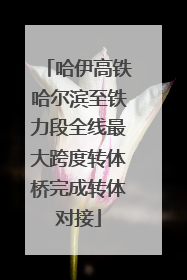 哈伊高铁哈尔滨至铁力段全线最大跨度转体桥完成转体对接