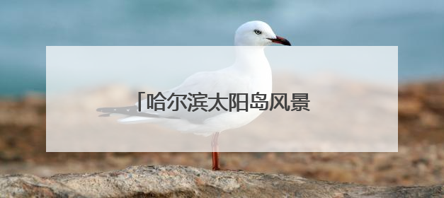 哈尔滨太阳岛风景区添新景迎端午