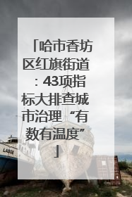 哈市香坊区红旗街道：43项指标大排查城市治理“有数有温度”