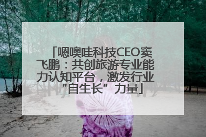 嗯噢哇科技CEO窦飞鹏：共创旅游专业能力认知平台，激发行业“自生长”力量
