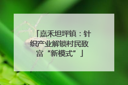 嘉禾坦坪镇：针织产业解锁村民致富“新模式”