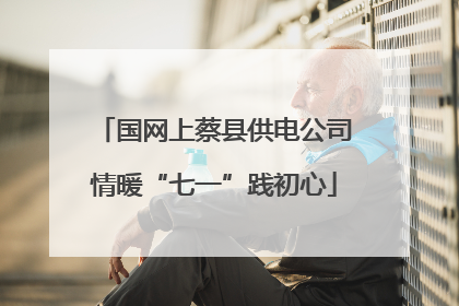 国网上蔡县供电公司情暖“七一”践初心