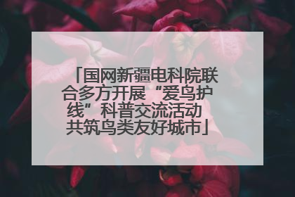 国网新疆电科院联合多方开展“爱鸟护线”科普交流活动 共筑鸟类友好城市