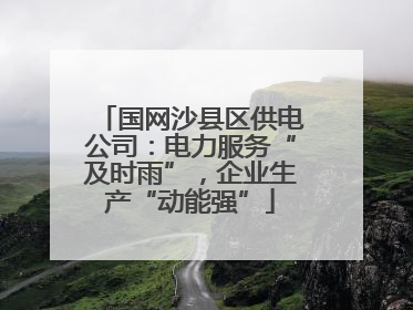 国网沙县区供电公司：电力服务“及时雨”，企业生产“动能强”