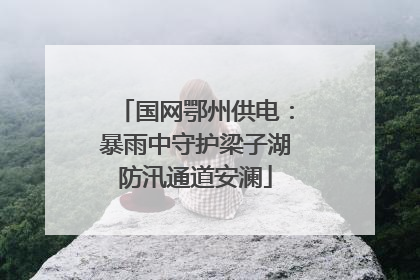 国网鄂州供电：暴雨中守护梁子湖防汛通道安澜