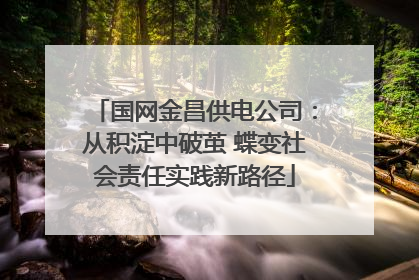 国网金昌供电公司：从积淀中破茧 蝶变社会责任实践新路径