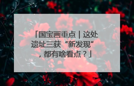 国宝画重点｜这处遗址三获“新发现”，都有啥看点？