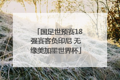 国足世预赛18强赛客负印尼 无缘美加墨世界杯