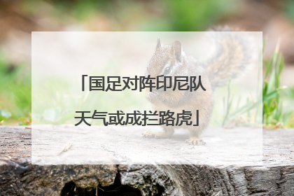 国足对阵印尼队 天气或成拦路虎