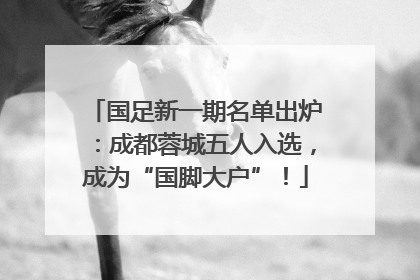 国足新一期名单出炉：成都蓉城五人入选，成为“国脚大户”！