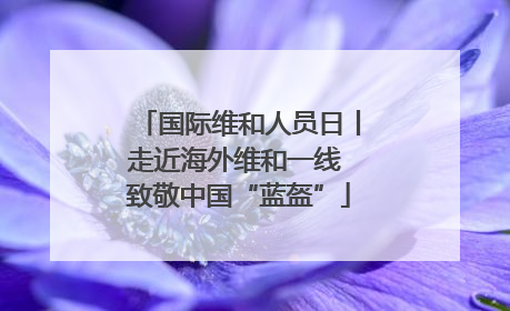 国际维和人员日丨走近海外维和一线 致敬中国“蓝盔”