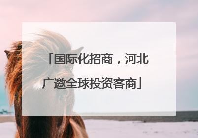 国际化招商，河北广邀全球投资客商