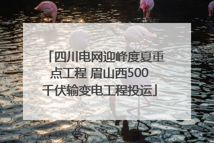 四川电网迎峰度夏重点工程 眉山西500千伏输变电工程投运