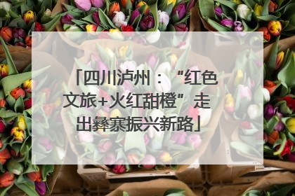 四川泸州：“红色文旅+火红甜橙”走出彝寨振兴新路