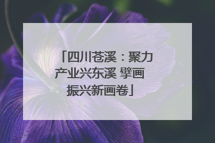四川苍溪：聚力产业兴东溪 擘画振兴新画卷