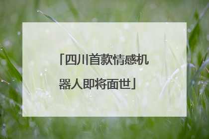 四川首款情感机器人即将面世