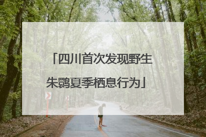 四川首次发现野生朱鹮夏季栖息行为