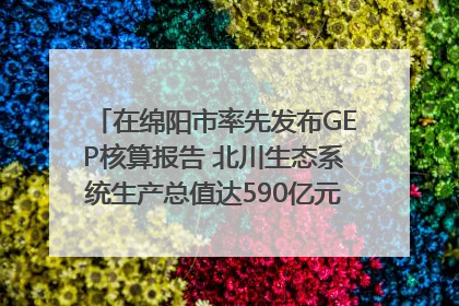 在绵阳市率先发布GEP核算报告 北川生态系统生产总值达590亿元｜新闻发布最前线