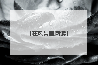 在风景里阅读