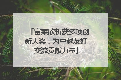 富莱欣斩获多项创新大奖，为中越友好交流贡献力量