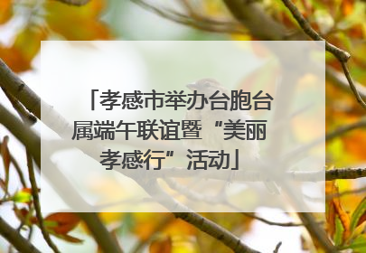 孝感市举办台胞台属端午联谊暨“美丽孝感行”活动