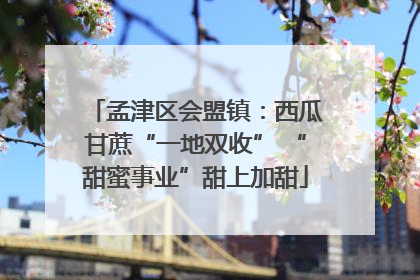 孟津区会盟镇：西瓜甘蔗“一地双收” “甜蜜事业”甜上加甜