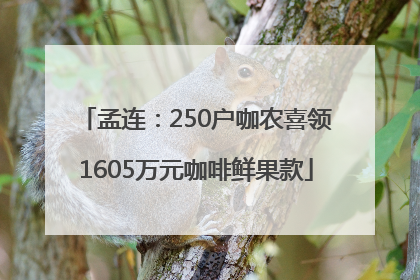 孟连：250户咖农喜领1605万元咖啡鲜果款