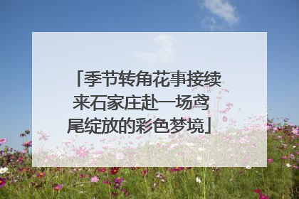 季节转角花事接续 来石家庄赴一场鸢尾绽放的彩色梦境