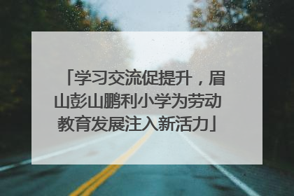 学习交流促提升，眉山彭山鹏利小学为劳动教育发展注入新活力