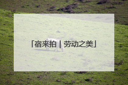 宿来拍｜劳动之美