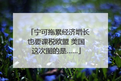 宁可拖累经济增长也要课税欧盟 美国这次图的是……
