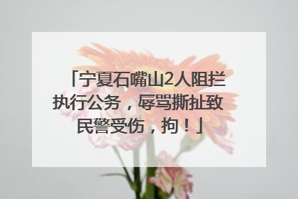 宁夏石嘴山2人阻拦执行公务，辱骂撕扯致民警受伤，拘！