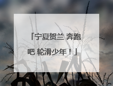 宁夏贺兰 奔跑吧 轮滑少年！